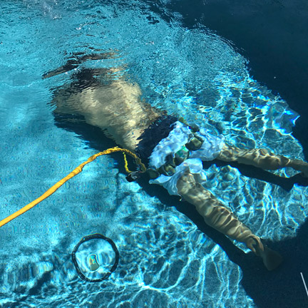 Pool remodeling warranty details pool service warranty Pool remodeling warranty details pool service warranty